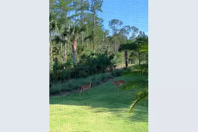 6552 Dominica Dr #101, Naples, FL 34113 - Photo 12