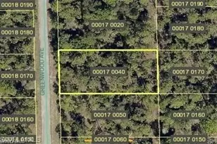 1712 Greenwood Ave, Lehigh Acres, FL 33183 - Photo 1