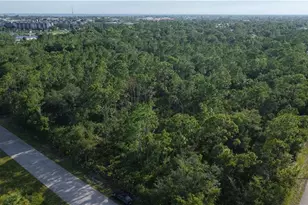 3483 Dream St, Punta Gorda, FL 33980 - Photo 1
