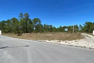 2429 Jetridge St, Alva, FL 33920 - Photo 1