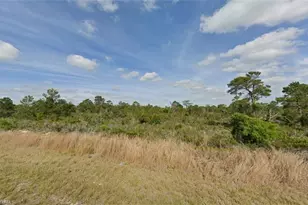 237 Sandpiper St, Lake Placid, FL 33852 - Photo 1