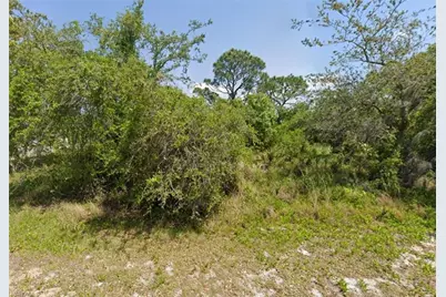 249 Grape Rd NW, Lake Placid, FL 33852 - Photo 1
