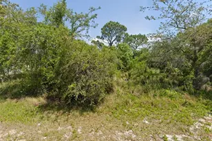 249 Grape Rd NW, Lake Placid, FL 33852 - Photo 1