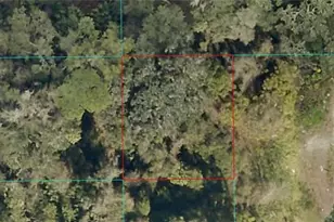 16649 NE 35th Ave, Citra, FL 32133 - Photo 1