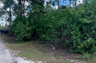 3125 38th St SW, Lehigh Acres, FL 33976 - Photo 1