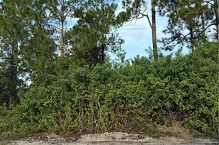 1113 Lake Ave, Lehigh Acres, FL 33972 - Photo 1