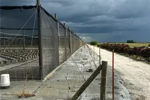 5675 2nd Rd, Labelle, FL 33935 - Photo 1