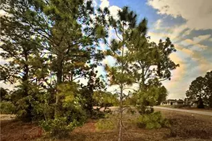 2914 19th St SW, Lehigh Acres, FL 33976 - Photo 1