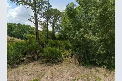 2235 Puffin St, Sebring, FL 33870 - Photo 1