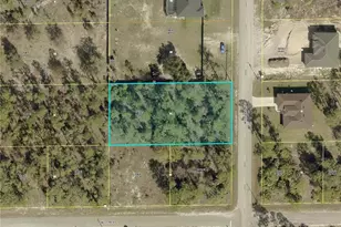 1303 Williams Ave, Lehigh Acres, FL 33972 - Photo 1