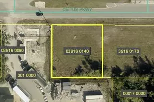 2824 Ceitus Pkwy, Cape Coral, FL 33991 - Photo 1