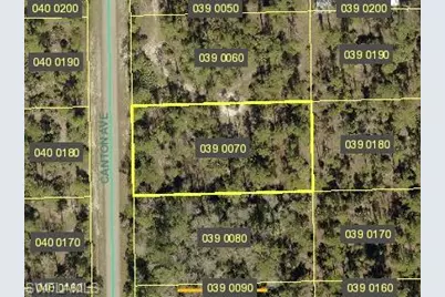 2310 Canton Ave, Alva, FL 33920 - Photo 1