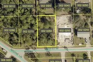 3226 30th St W, Lehigh Acres, FL 33971 - Photo 1