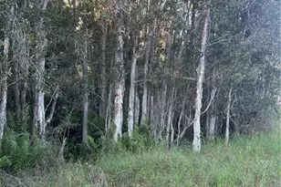 33608 Oil Well Rd, Punta Gorda, FL 33955 - Photo 1