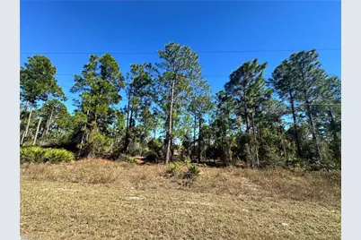 849 Knox Ave S, Lehigh Acres, FL 33974 - Photo 1