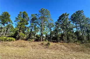 849 Knox Ave S, Lehigh Acres, FL 33974 - Photo 1