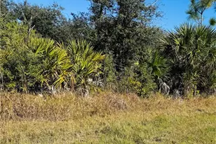 12096 Dubarry Ave, Port Charlotte, FL 33981 - Photo 1