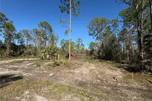 230 Ocean Park Dr, Lehigh Acres, FL 33972 - Photo 1