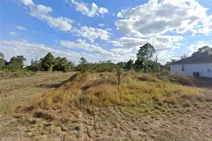 3201 10th St SW, Lehigh Acres, FL 33976 - Photo 1