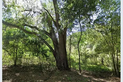 147 SW Liberty Gln, Fort White, FL 32038 - Photo 1