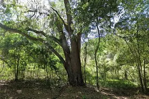 147 SW Liberty Gln, Fort White, FL 32038 - Photo 1