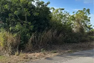 4309 18th St SW, Lehigh Acres, FL 33976 - Photo 1