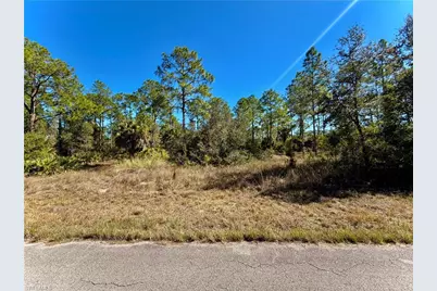 1302 Palmetto Ave, Lehigh Acres, FL 33972 - Photo 1