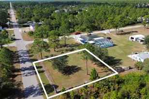 203 East 9th Street, Lehigh Acres, FL 33972 - Photo 1