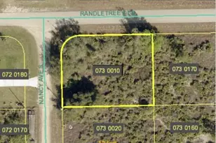 231 Nancy Avenu S, Lehigh Acres, FL 33974 - Photo 1
