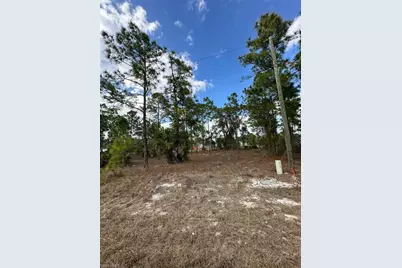 545 Allison St E, Lehigh Acres, FL 33974 - Photo 1