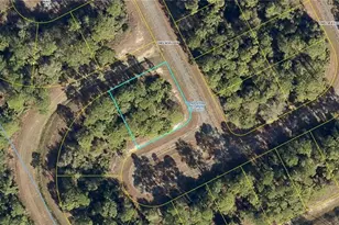433 Chelsea Loop, Labelle, FL 33935 - Photo 1