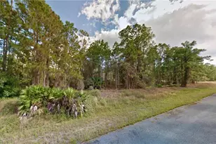 102 Irving Ave, Lehigh Acres, FL 33936 - Photo 1