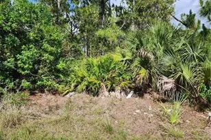 1016 Rush Ave, Lehigh Acres, FL 33972 - Photo 1