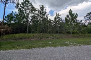 1007 Cleveland Ave, Lehigh Acres, FL 33972 - Photo 1