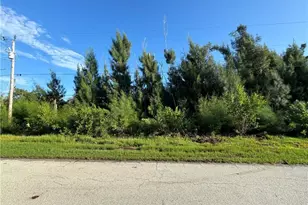 3486 Papaya St, Saint James City, FL 33956 - Photo 1