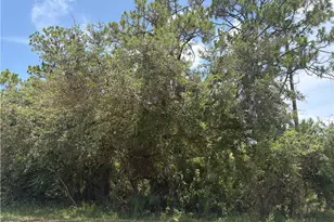 806 E 6th St, Lehigh Acres, FL 33972 - Photo 1