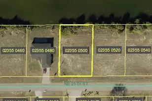 335 NE 25th St, Cape Coral, FL 33909 - Photo 1
