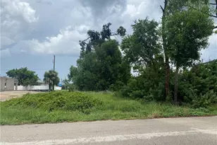 3021 NE 6th Ave, Cape Coral, FL 33909 - Photo 1