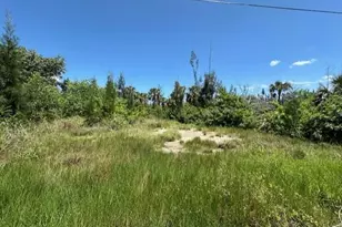 3518 Papaya St, Saint James City, FL 33956 - Photo 1