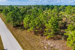 1117 Ectype St E, Lehigh Acres, FL 33974 - Photo 1