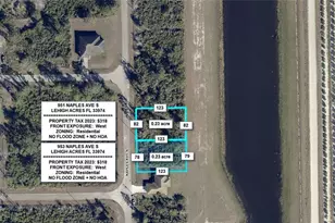 951 Naples Ave S, Lehigh Acres, FL 33974 - Photo 1