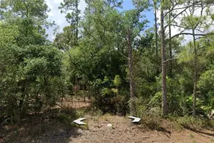 1421 Jackson Ave, Lehigh Acres, FL 33972 - Photo 1