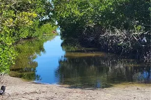 3535 Papaya St, Saint James City, FL 33956 - Photo 1