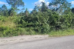 1020 Greenwood Ave, Lehigh Acres, FL 33972 - Photo 1