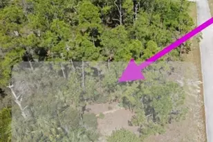 2113 Abbott Ave, Alva, FL 33920 - Photo 1