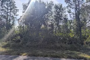 1122 Cove St E, Lehigh Acres, FL 33974 - Photo 1