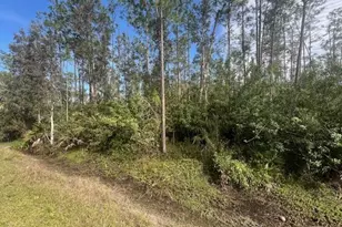 19201 Burgundy Farms Rd, Estero, FL 33928 - Photo 1