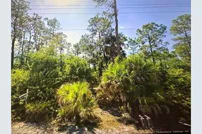 1511 Palmetto Ave, Lehigh Acres, FL 33972 - Photo 1