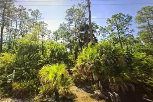 1511 Palmetto Ave, Lehigh Acres, FL 33972 - Photo 1