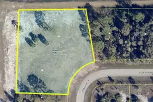 901 Plantation Rd, Lehigh Acres, FL 33974 - Photo 1